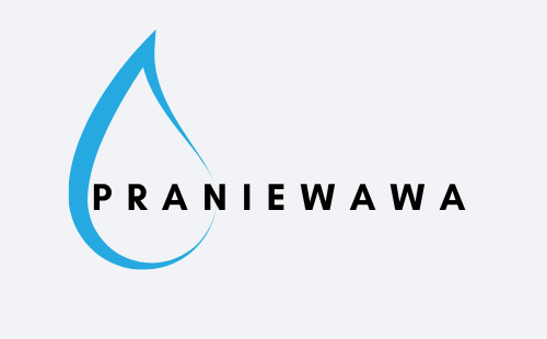 Pranie Wawa